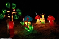 匠心點亮夜色 淄博錚暉文化，山東彩燈制造的璀璨名片